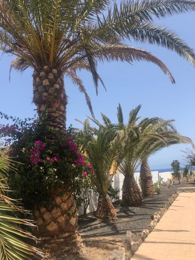 Apartamento La Tortuga De Fuerteventura Costa De Antigua Exteriér fotografie